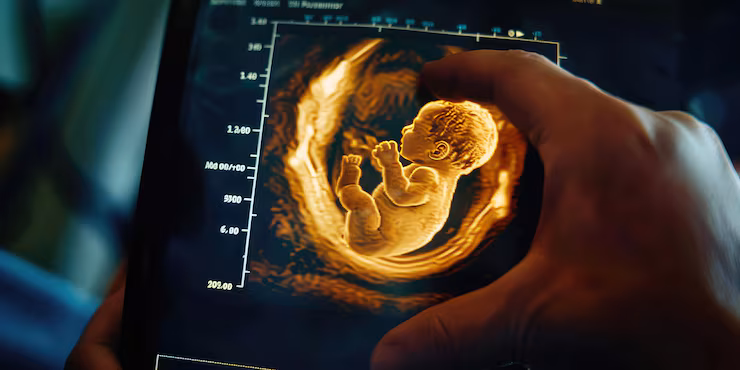 Fetal Neurosonography